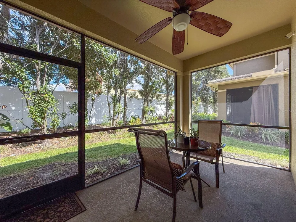 2539 SILVERBACK COURT Palm Harbor, FL 34684