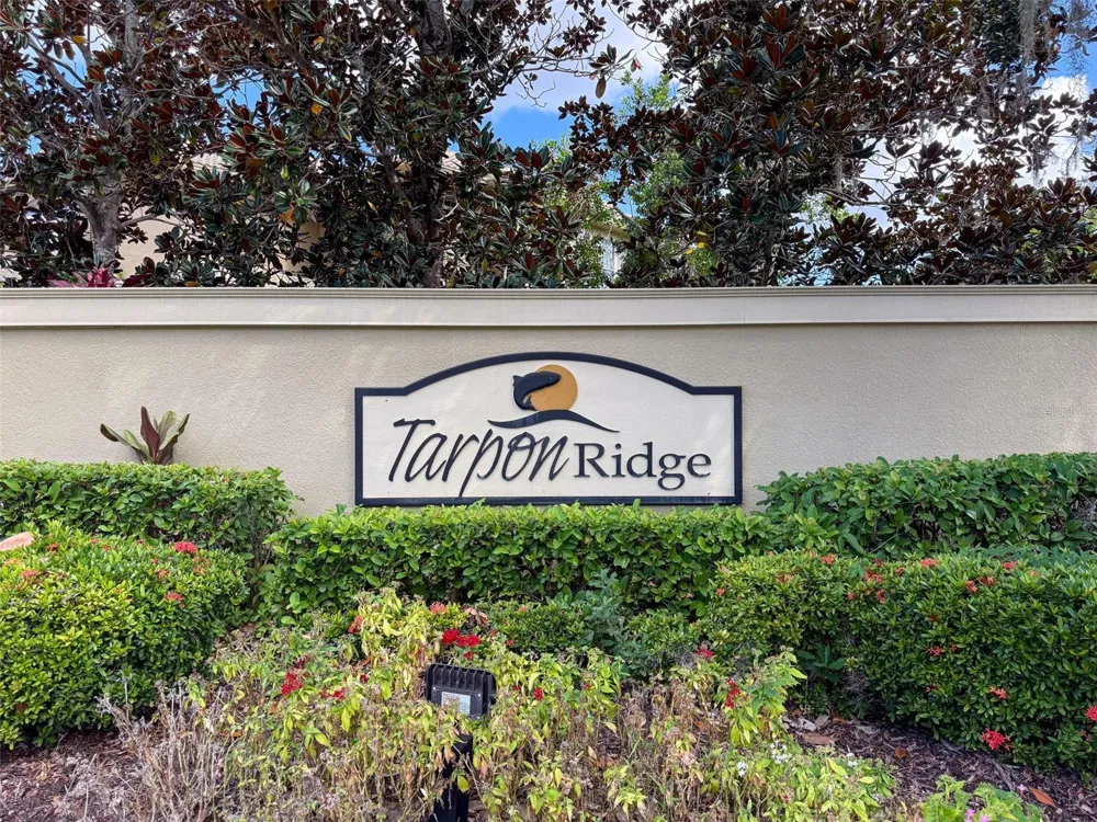 2539 SILVERBACK COURT Palm Harbor, FL 34684