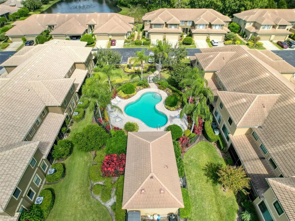 2539 SILVERBACK COURT Palm Harbor, FL 34684