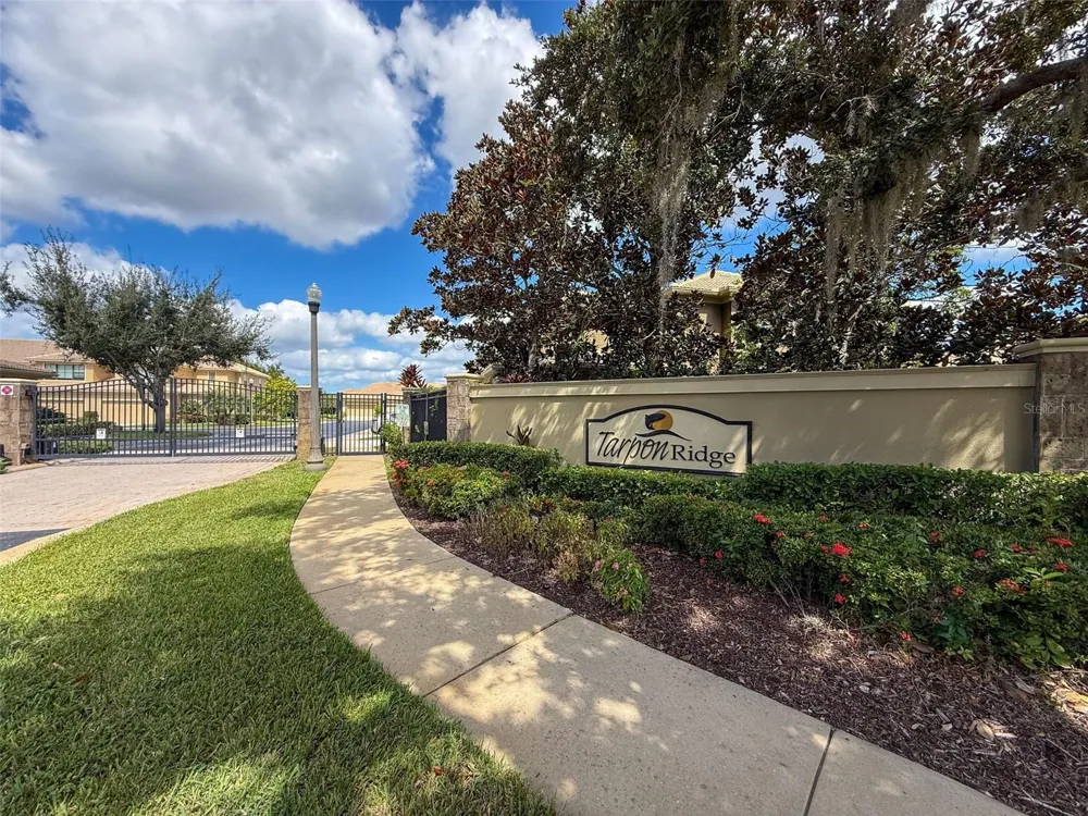 2539 SILVERBACK COURT Palm Harbor, FL 34684