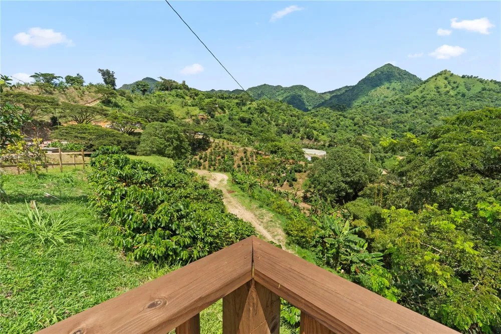 Bo. Hoyos Planes CARR. 531 KM  HM7 Jayuya, PR 00664