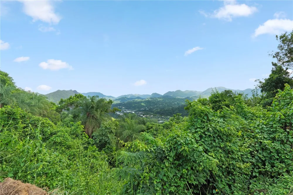 Bo. Hoyos Planes CARR. 531 KM  HM7 Jayuya, PR 00664