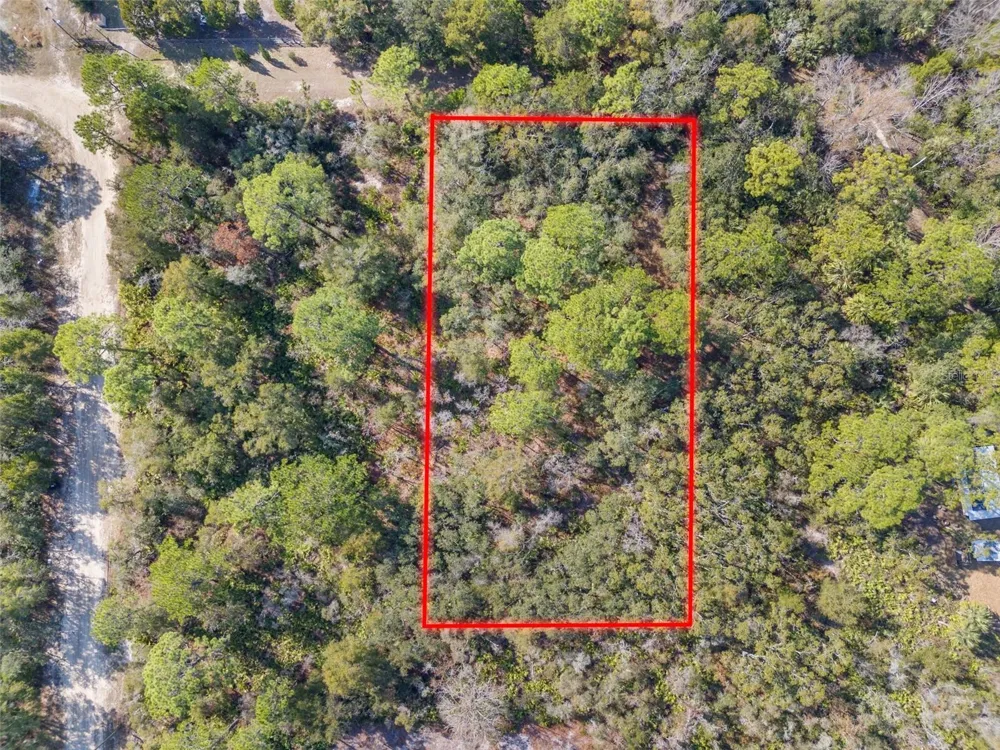 419 VESPER POINT Crystal River, FL 34429