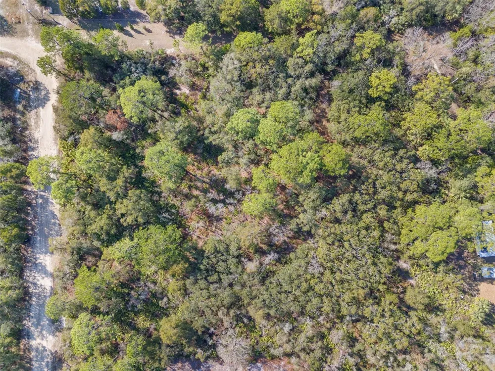 419 VESPER POINT Crystal River, FL 34429