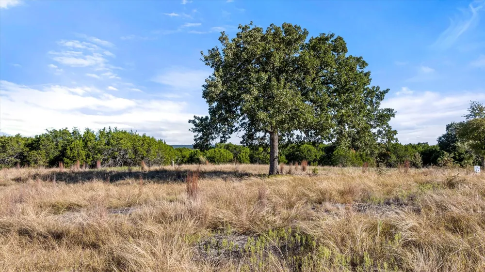 190 New Hope Lane Palo Pinto, TX 76484
