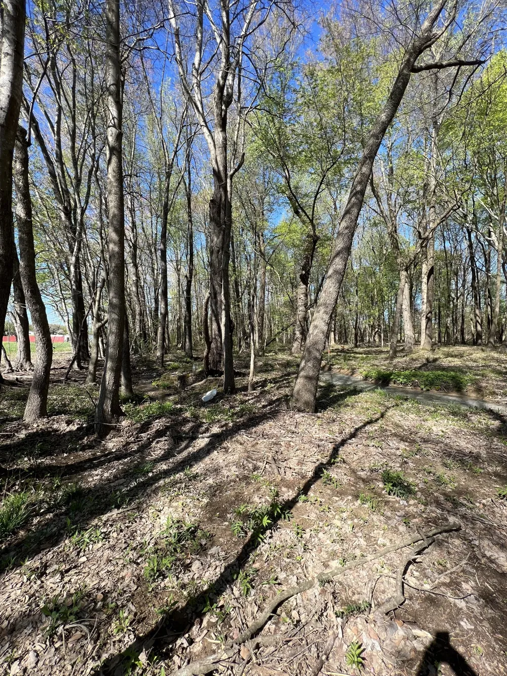 21 Highway 52E Lafayette, TN 37083