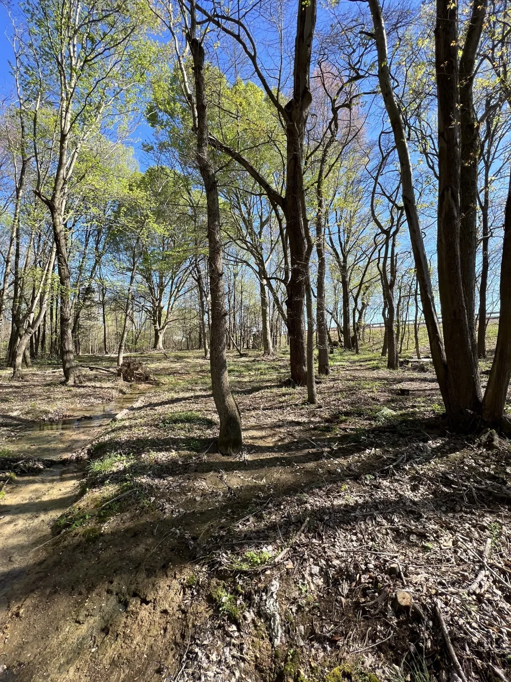 22 Highway 52E Lafayette, TN 37083