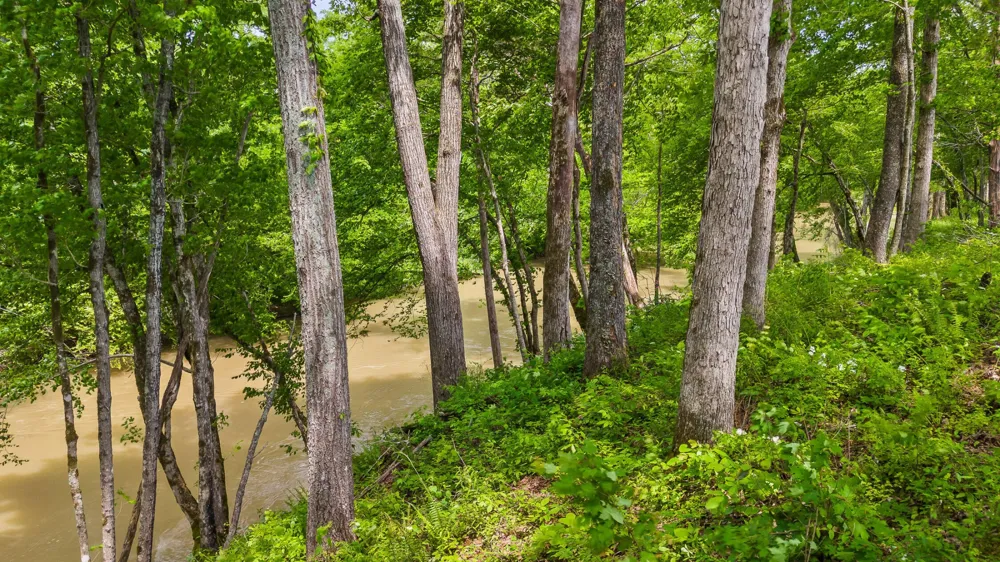 35 River Ridge Drive Dunlap, TN 37327