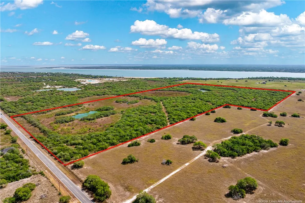 FM 771 Riviera, TX 78379