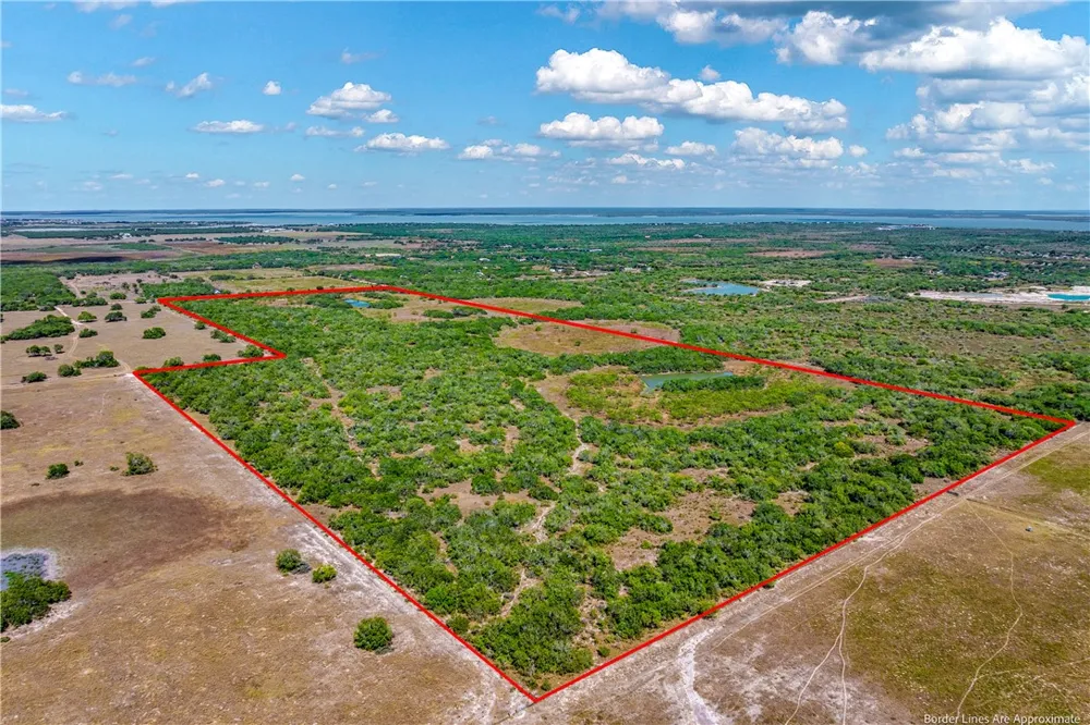 FM 771 Riviera, TX 78379