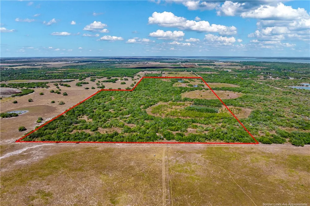 FM 771 Riviera, TX 78379