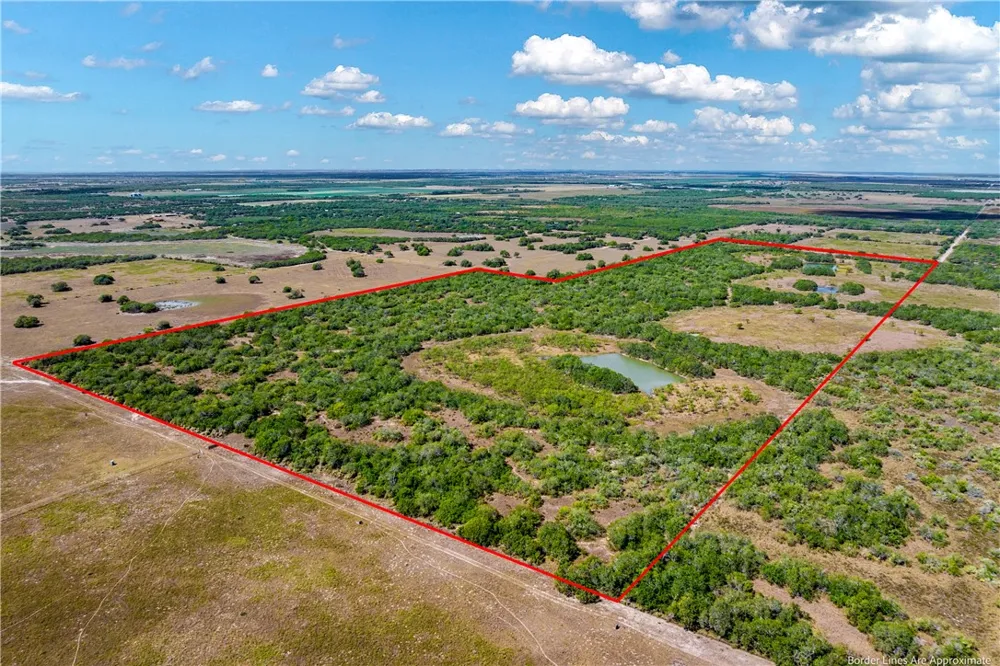 FM 771 Riviera, TX 78379