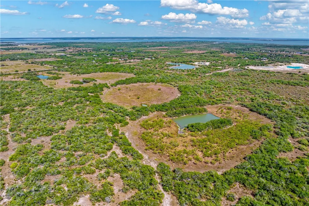 FM 771 Riviera, TX 78379