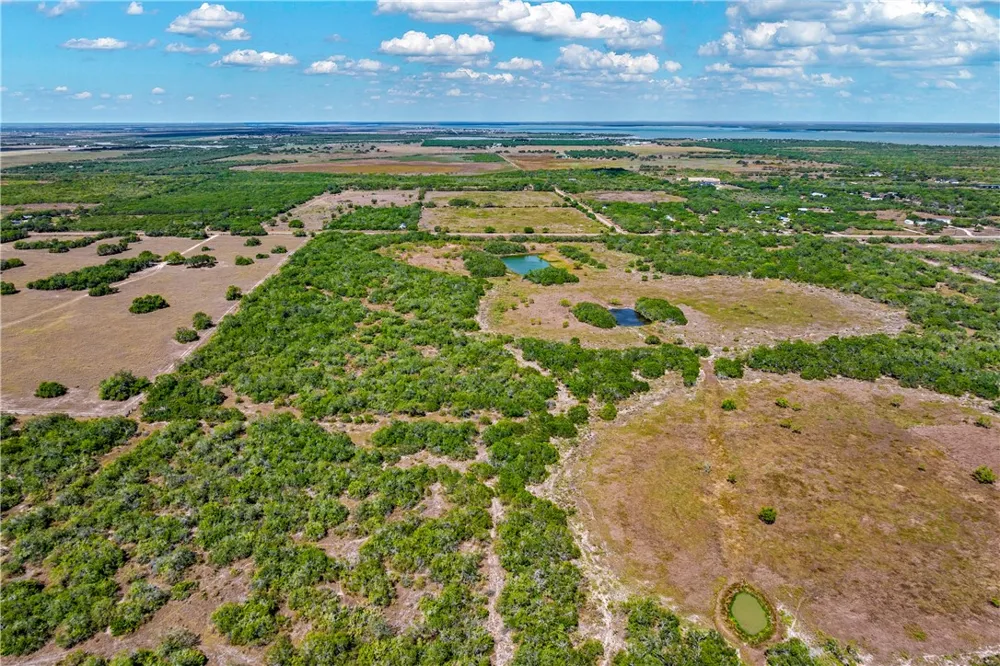 FM 771 Riviera, TX 78379
