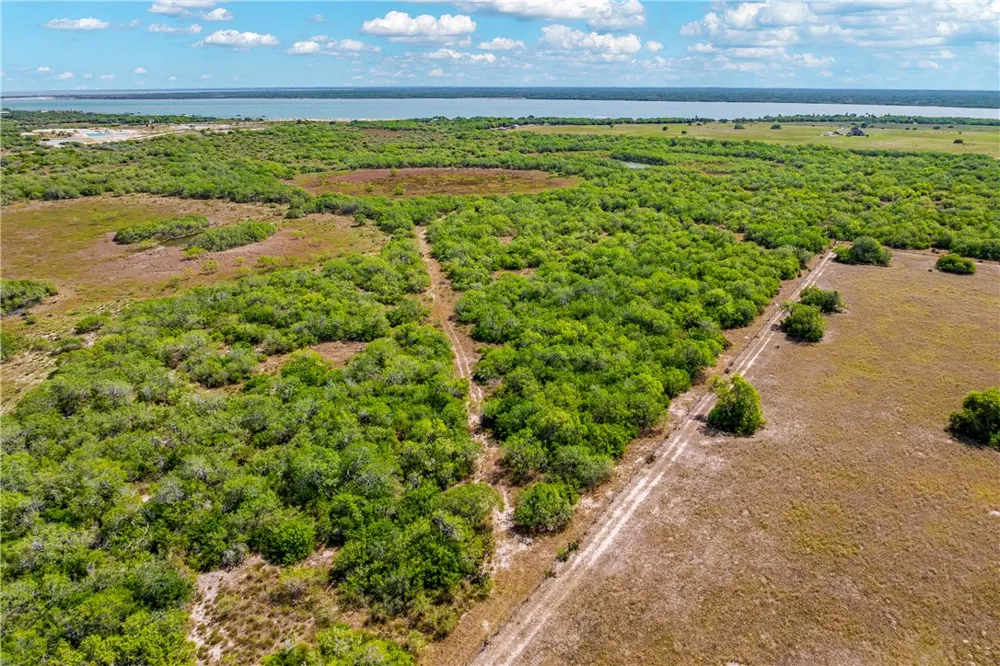 FM 771 Riviera, TX 78379