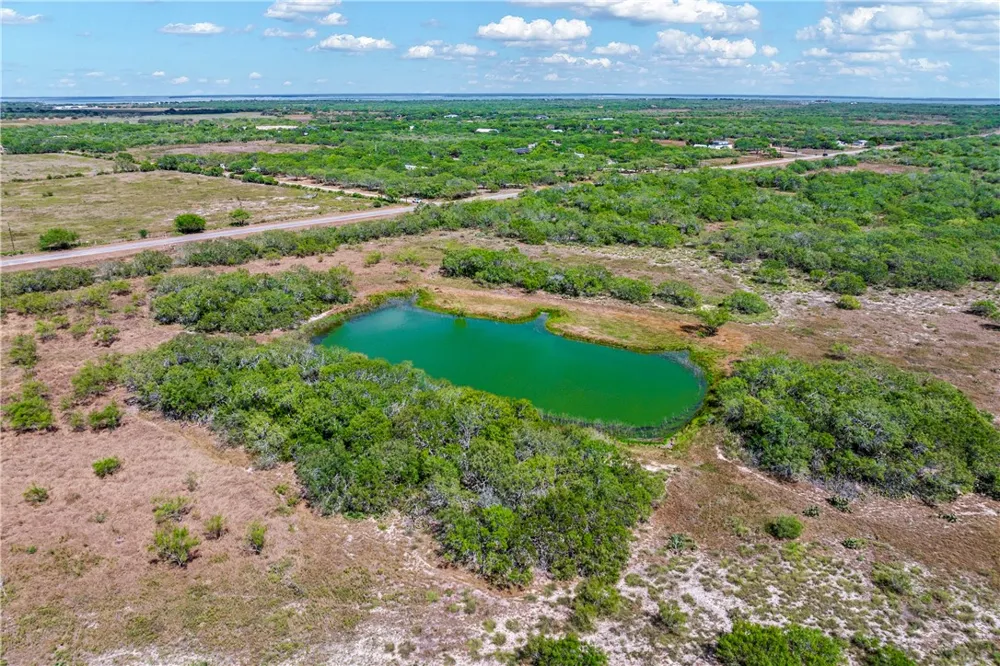 FM 771 Riviera, TX 78379