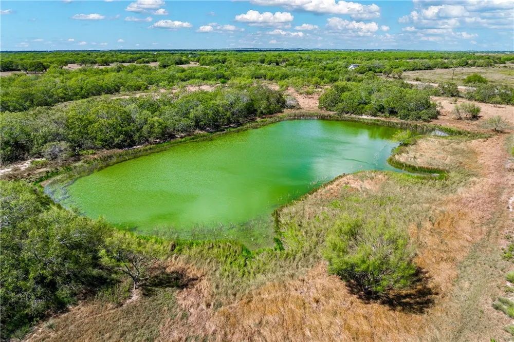 FM 771 Riviera, TX 78379