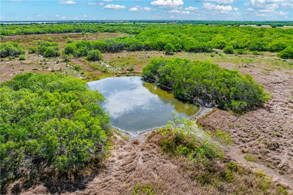FM 771 Riviera, TX 78379