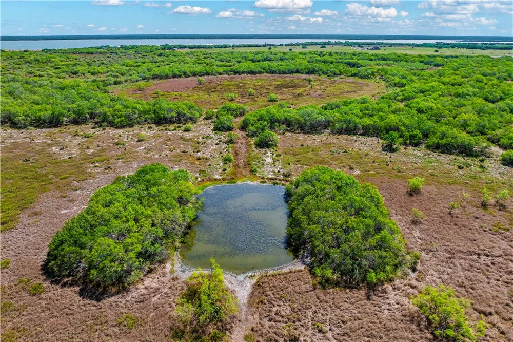 FM 771 Riviera, TX 78379