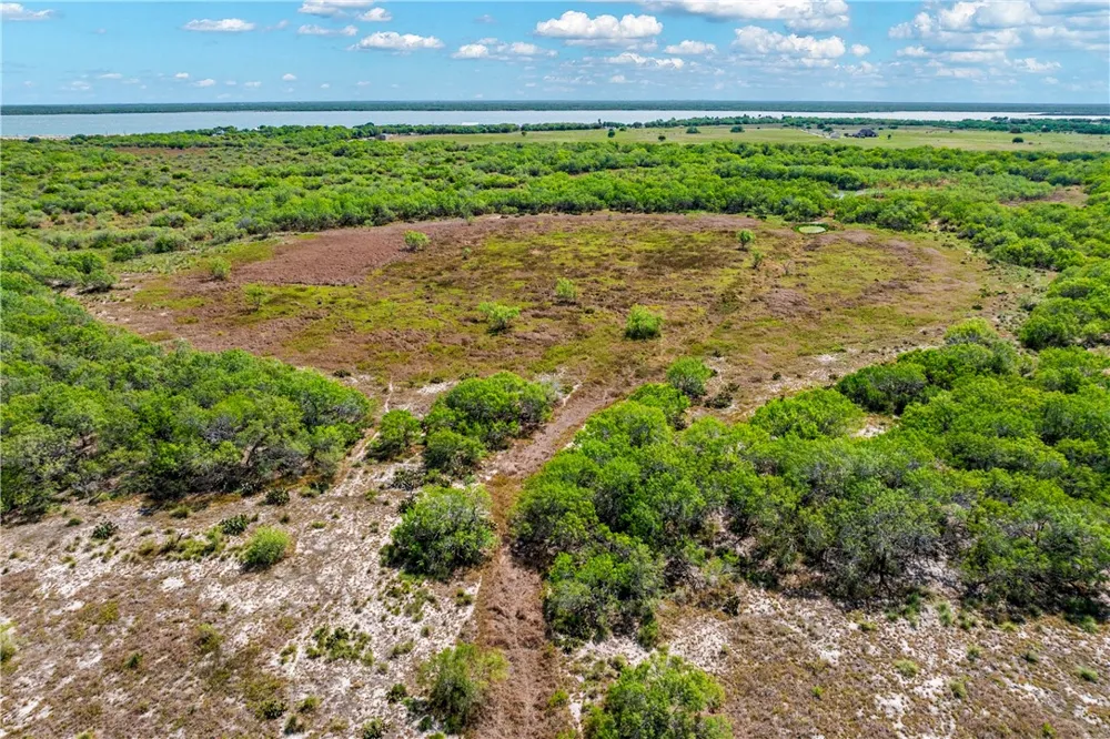FM 771 Riviera, TX 78379