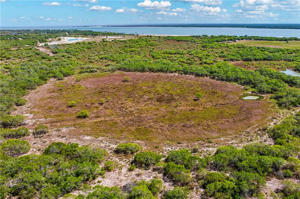 FM 771 Riviera, TX 78379