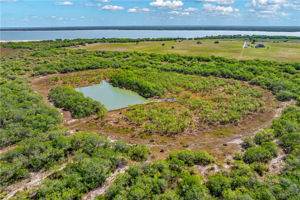 FM 771 Riviera, TX 78379