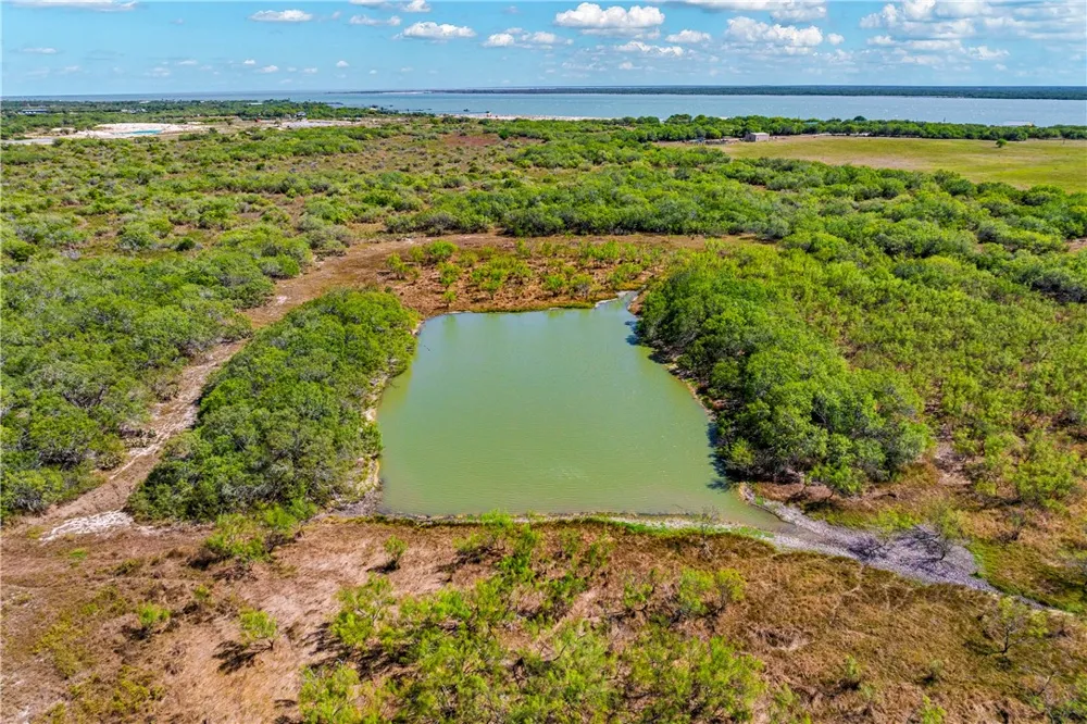 FM 771 Riviera, TX 78379