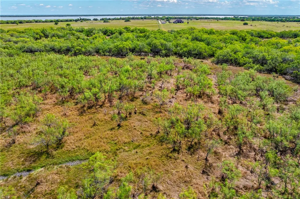 FM 771 Riviera, TX 78379