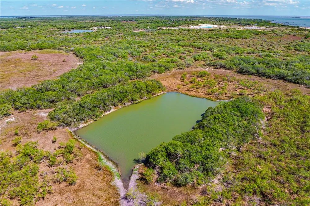FM 771 Riviera, TX 78379