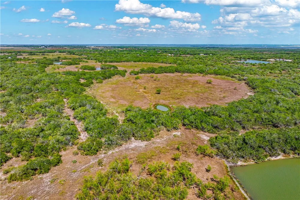 FM 771 Riviera, TX 78379