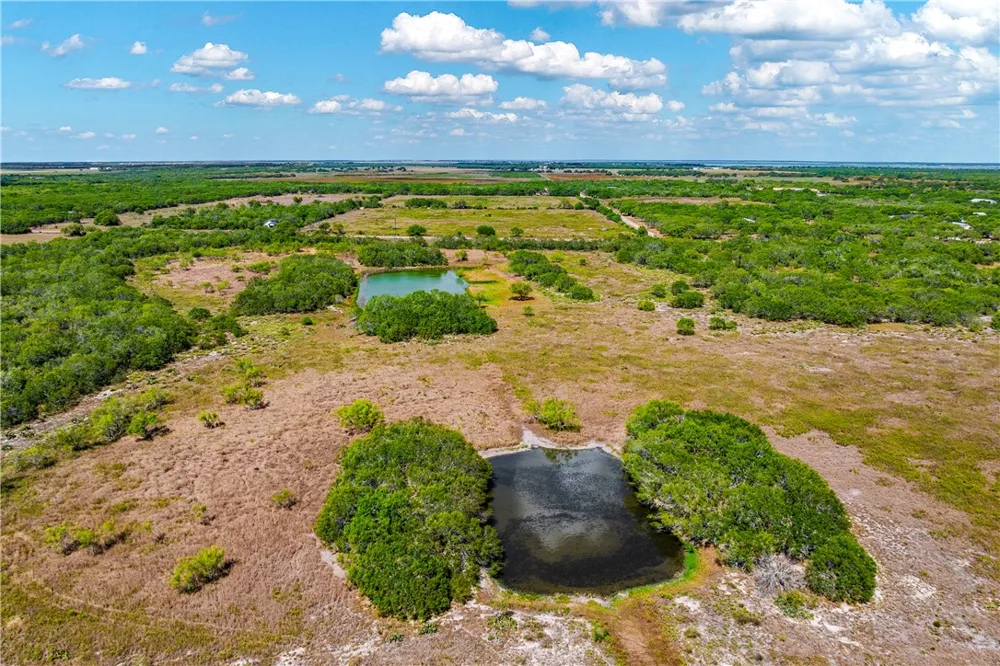 FM 771 Riviera, TX 78379
