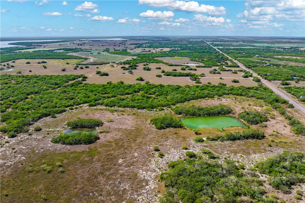 FM 771 Riviera, TX 78379