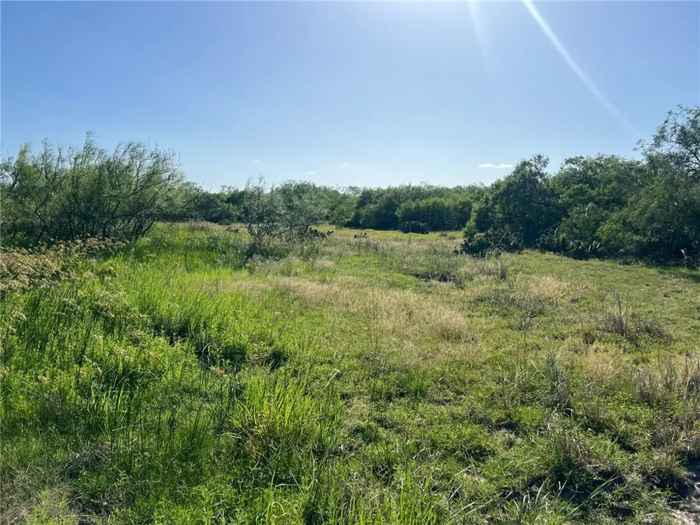 FM 771 Riviera, TX 78379