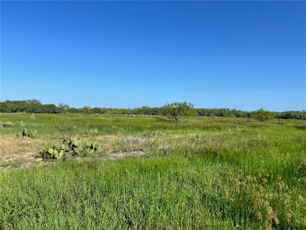 FM 771 Riviera, TX 78379