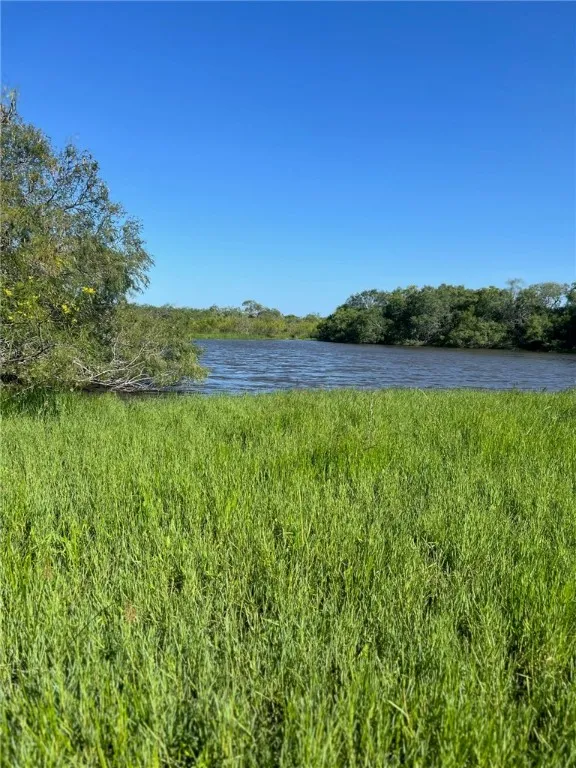 FM 771 Riviera, TX 78379