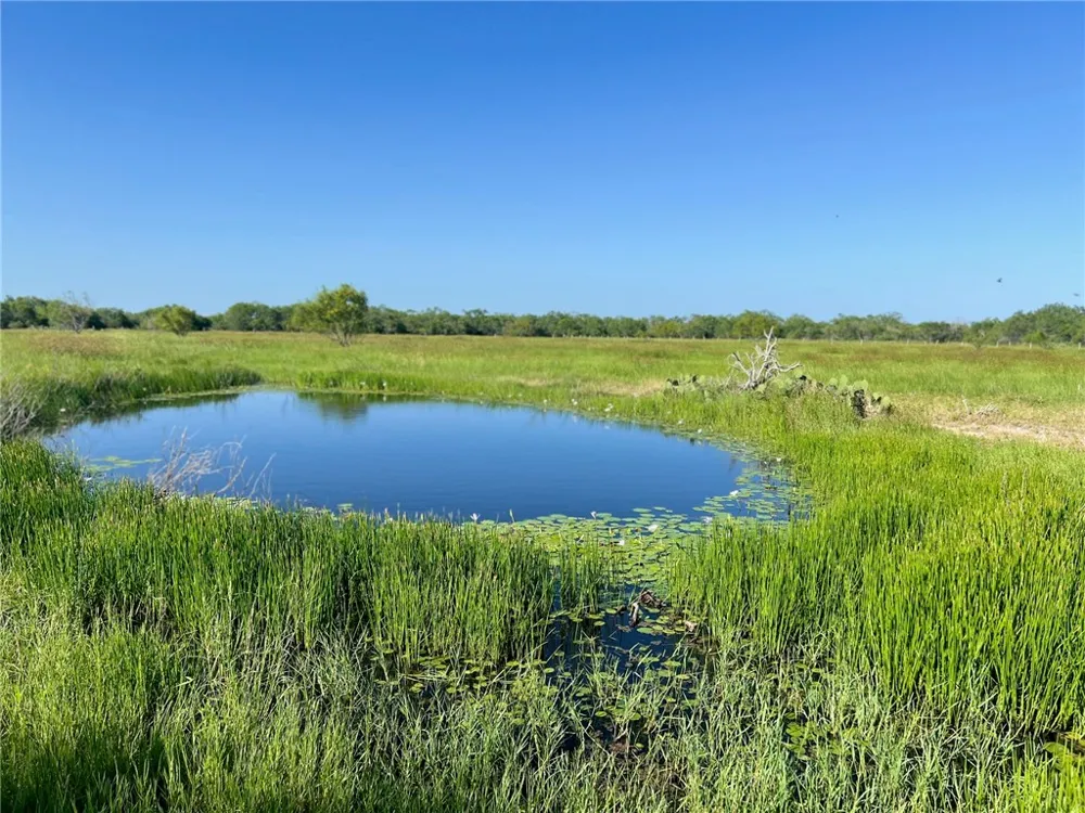 FM 771 Riviera, TX 78379