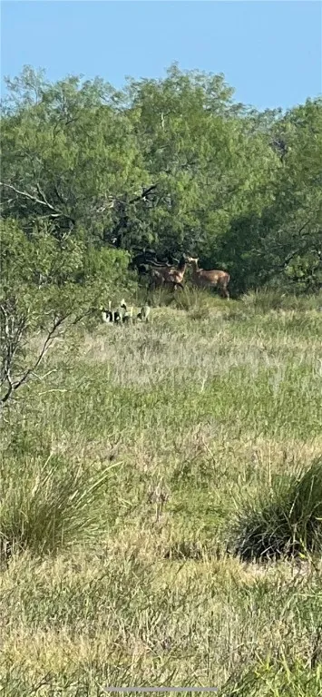 FM 771 Riviera, TX 78379