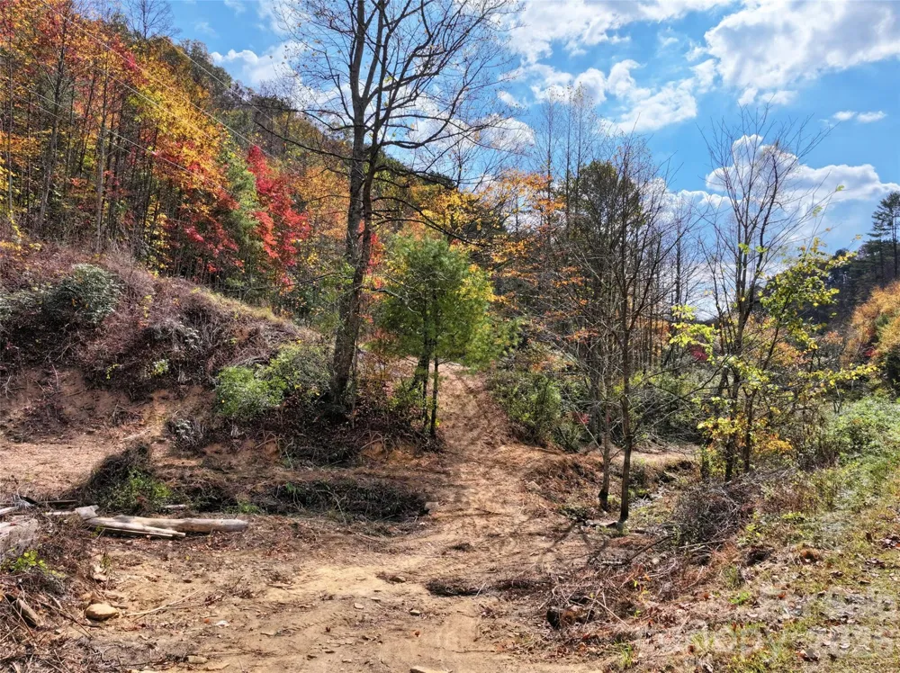 366 Renfro Road Green Mountain, NC 28740