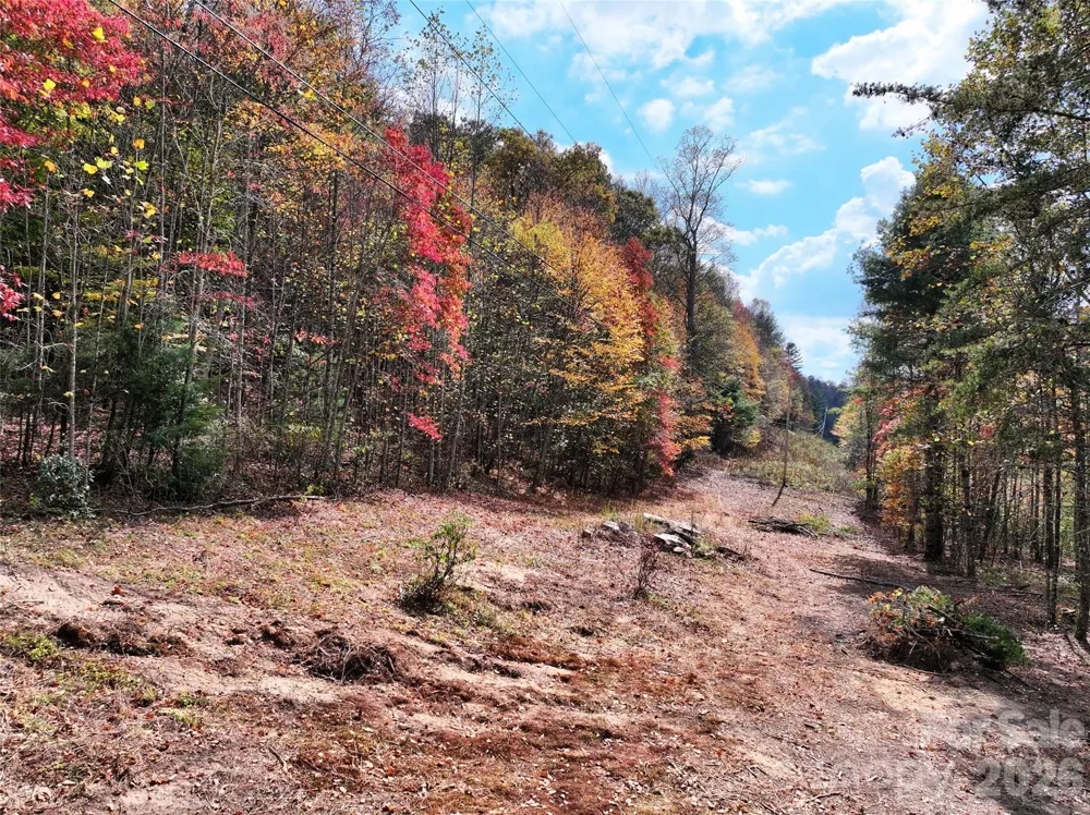 366 Renfro Road Green Mountain, NC 28740