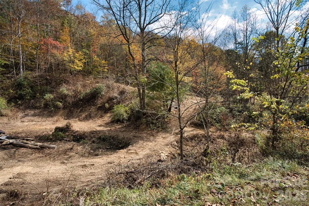 366 Renfro Road Green Mountain, NC 28740
