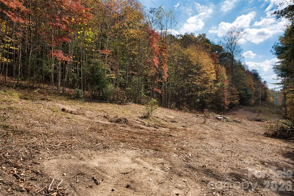 366 Renfro Road Green Mountain, NC 28740