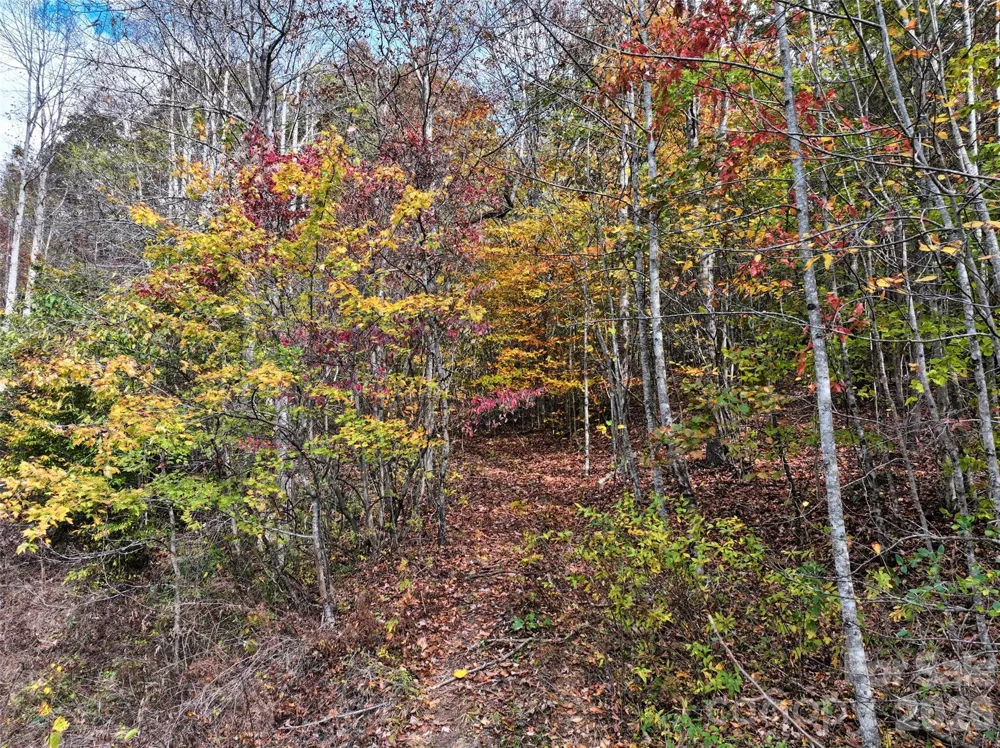366 Renfro Road Green Mountain, NC 28740