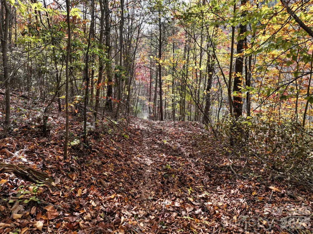 366 Renfro Road Green Mountain, NC 28740