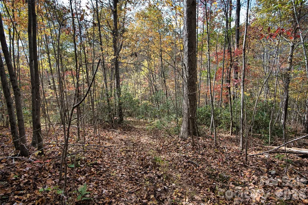 366 Renfro Road Green Mountain, NC 28740