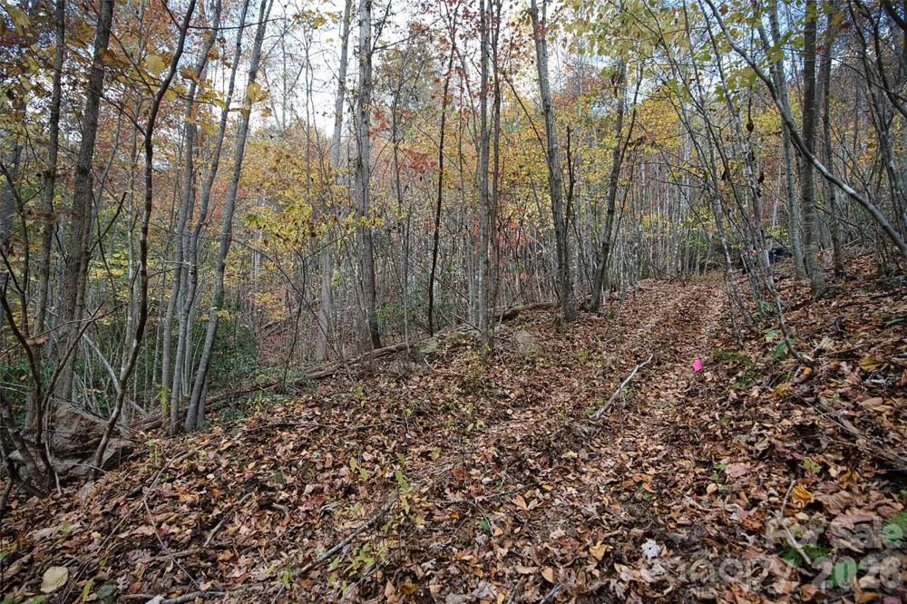 366 Renfro Road Green Mountain, NC 28740