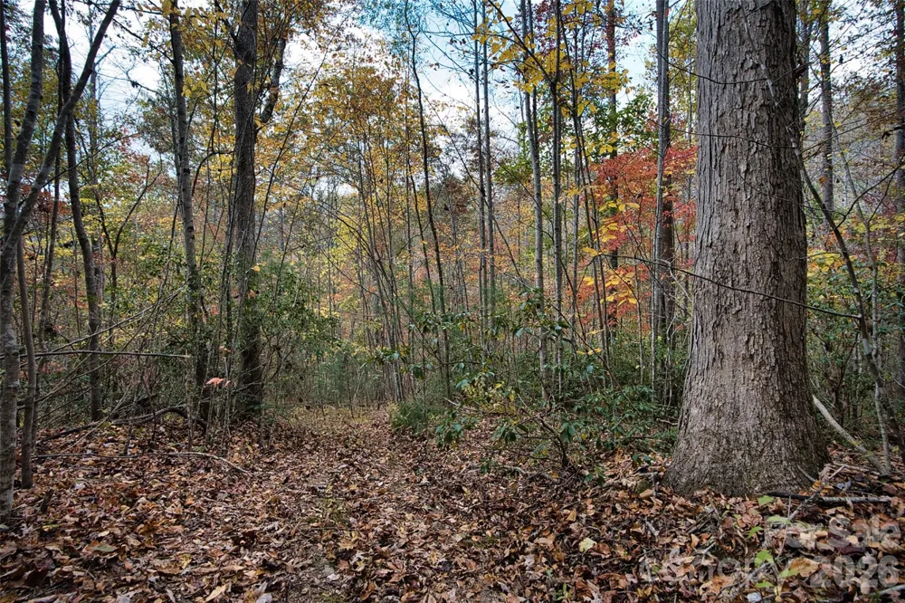 366 Renfro Road Green Mountain, NC 28740