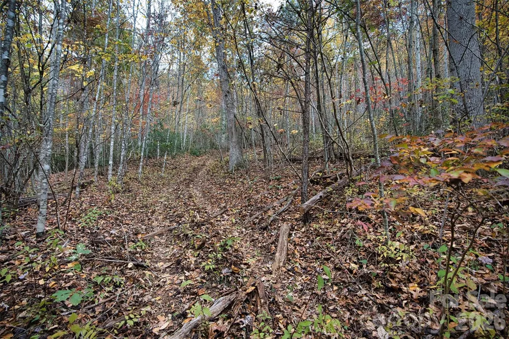366 Renfro Road Green Mountain, NC 28740
