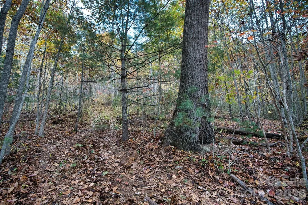 366 Renfro Road Green Mountain, NC 28740