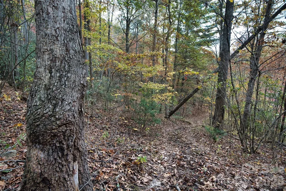 366 Renfro Road Green Mountain, NC 28740