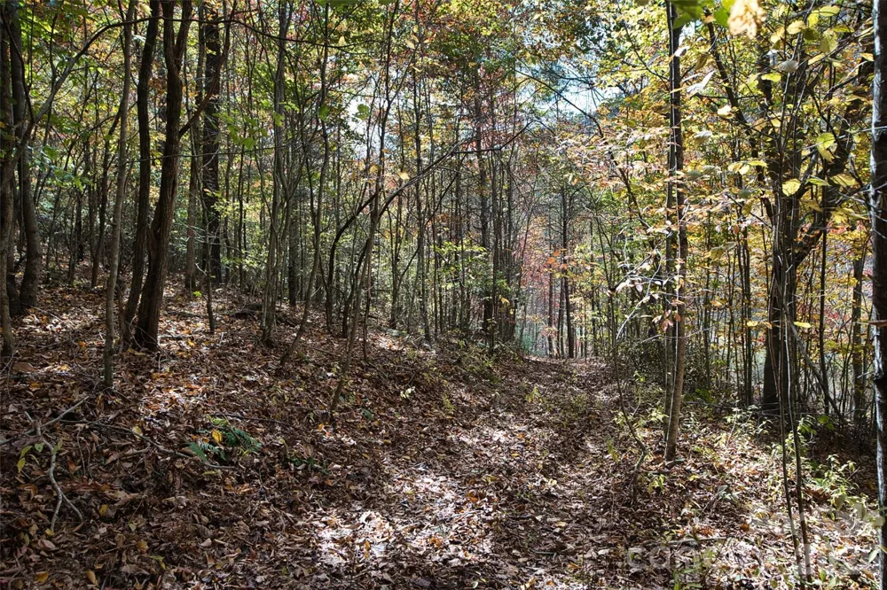 366 Renfro Road Green Mountain, NC 28740